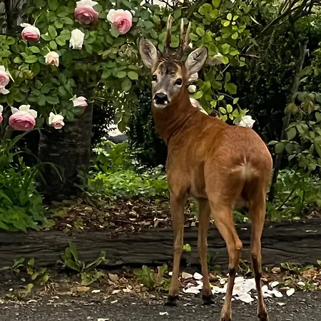 Casa de Férias Du Montois *